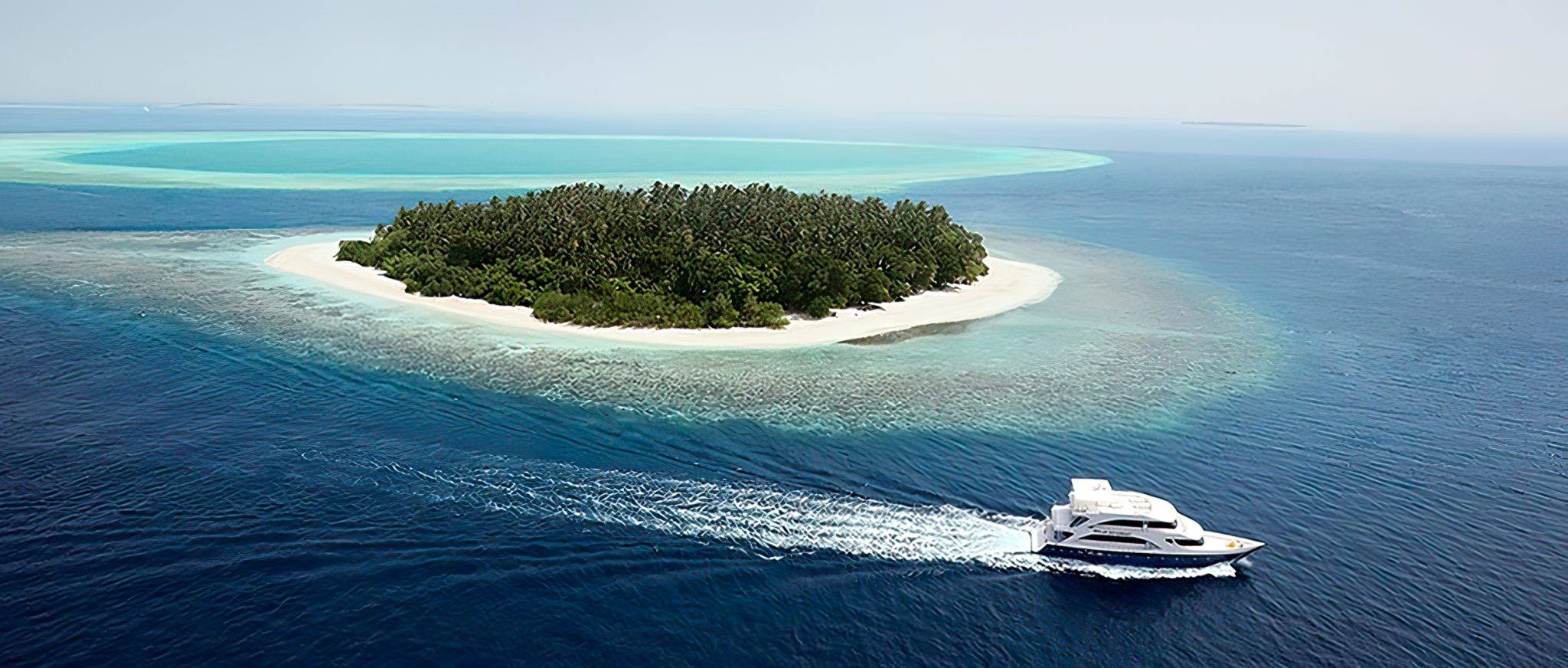 Die besten Tauchplätze im Süd Ari Atoll auf den Malediven