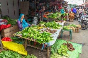 Tomohon Market