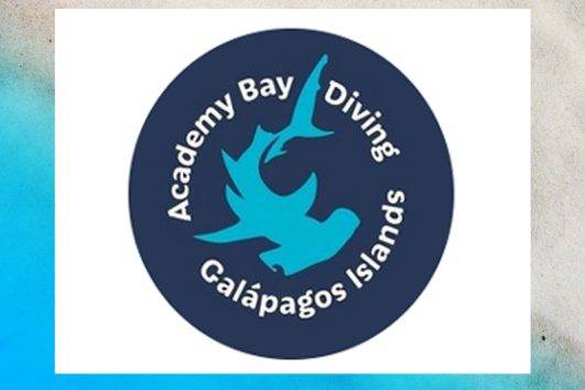 Academy Bay Diving Logo Start